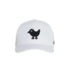 Birdie Snapback Hat